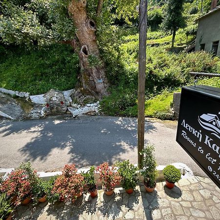 Hotel Λευκή Καμέλια Anilio Pelion Esterno foto