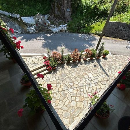 Hotel Λευκή Καμέλια Anilio Pelion Esterno foto