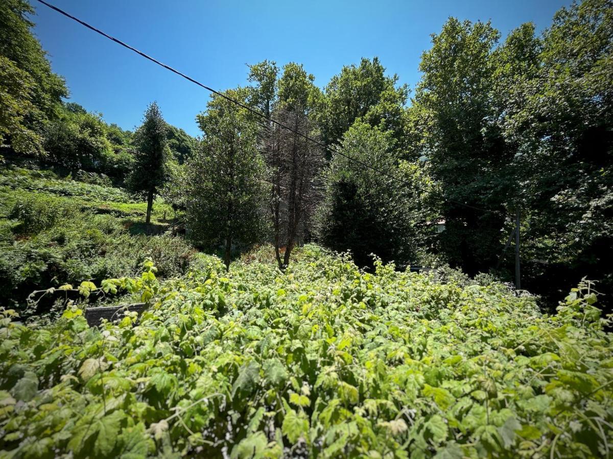 Hotel Λευκή Καμέλια Anilio Pelion Esterno foto