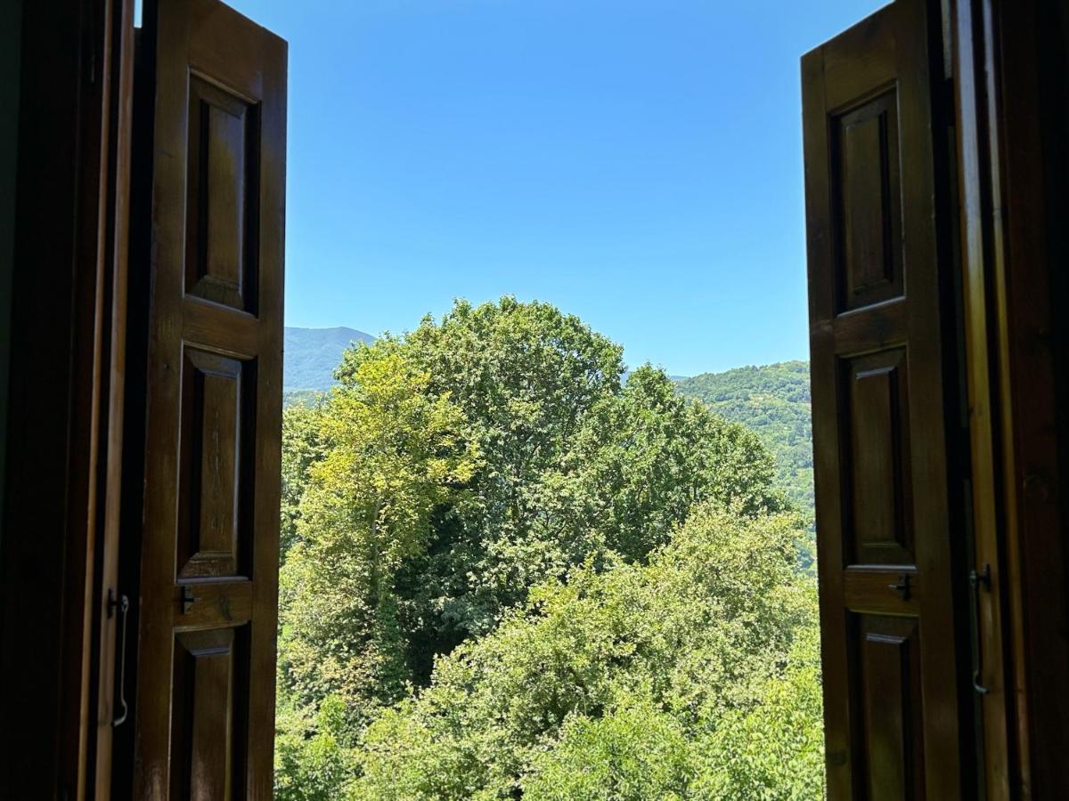 Hotel Λευκή Καμέλια Anilio Pelion Esterno foto