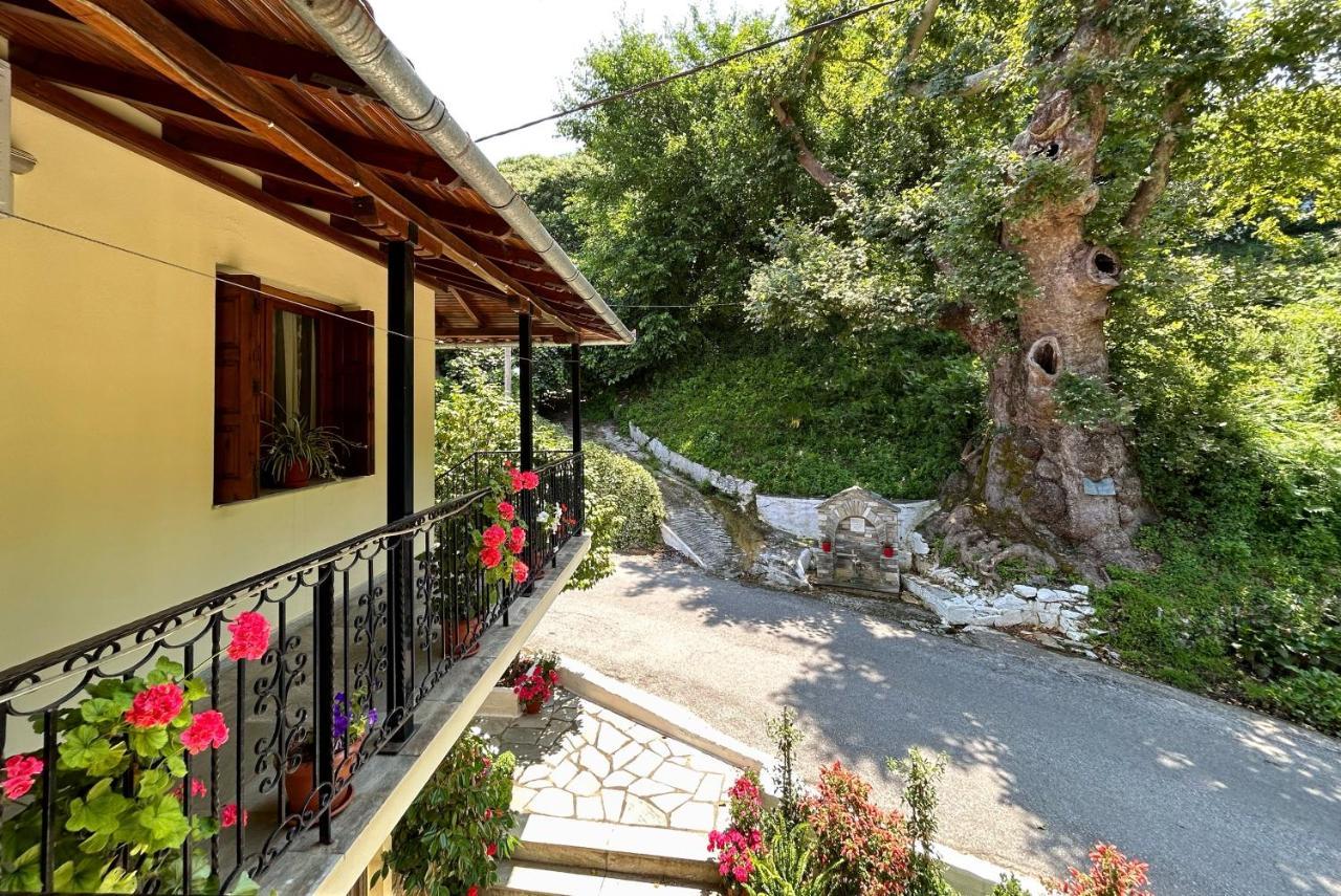 Hotel Λευκή Καμέλια Anilio Pelion Esterno foto