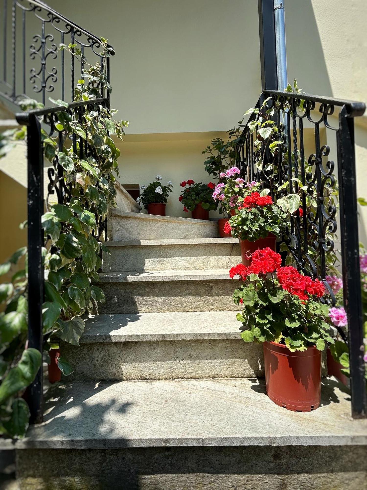 Hotel Λευκή Καμέλια Anilio Pelion Esterno foto