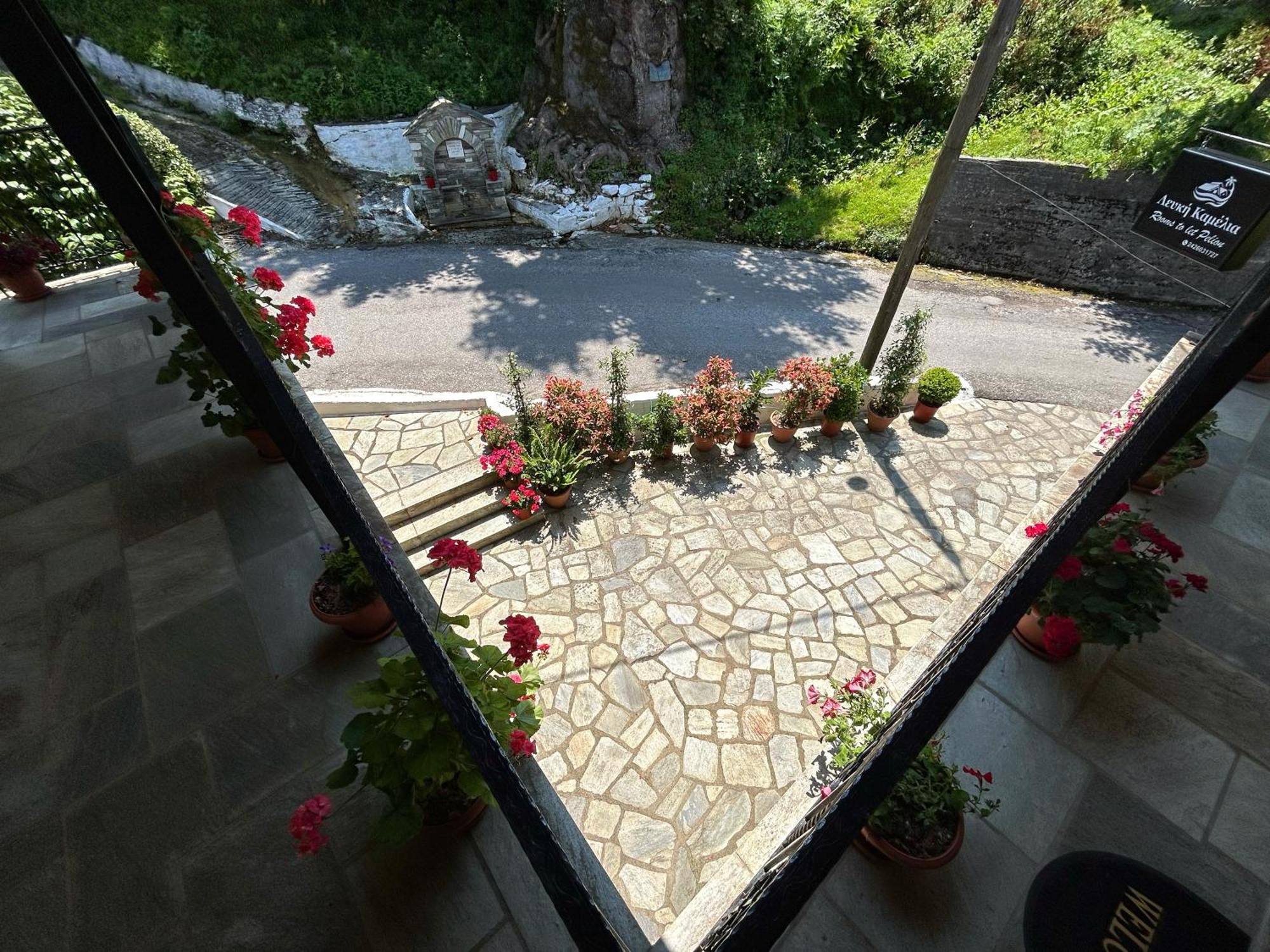 Hotel Λευκή Καμέλια Anilio Pelion Esterno foto