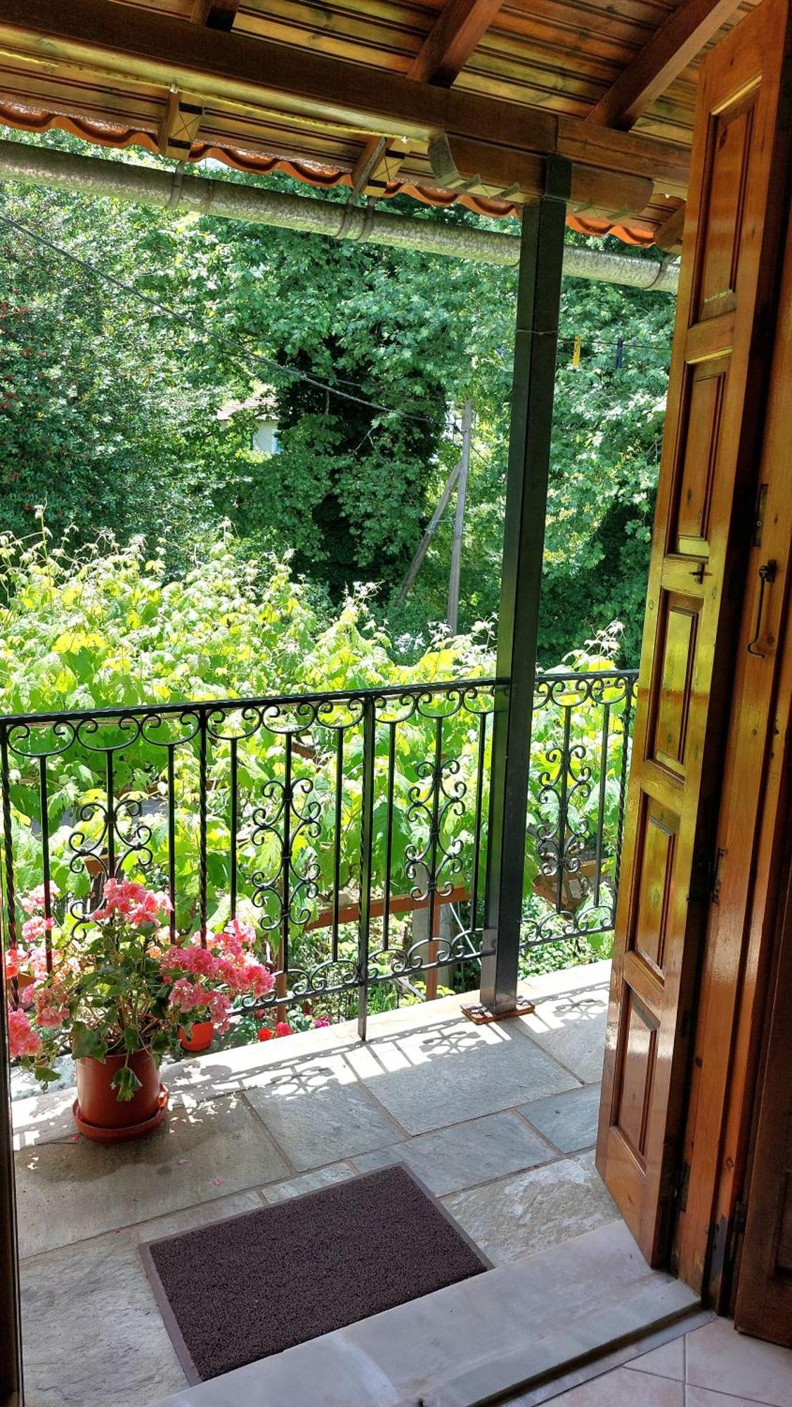 Hotel Λευκή Καμέλια Anilio Pelion Esterno foto
